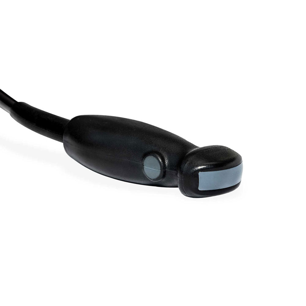 eC6 Micro-Convex Transducer