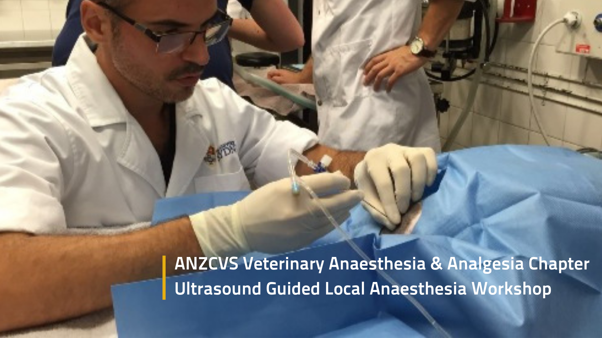 Ultrasound guided local anaesthesia workshop