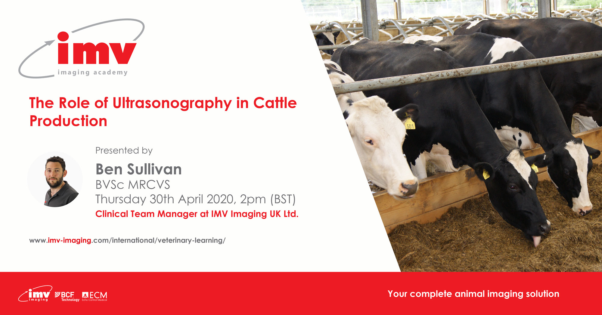The Role of Ultrasonography in Cattle Production